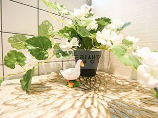 시설보기